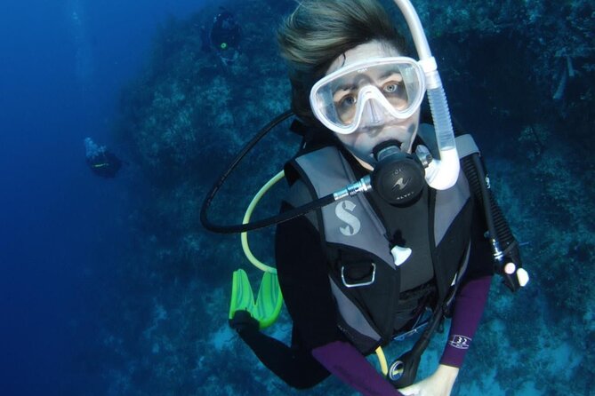 Get SCUBA Certified at San Juan - The Knowledge Work Comes First
