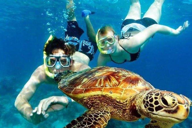 Guided Coral Reef Snorkeling Tour - Following the reef from shore