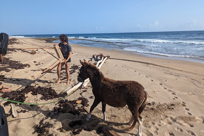 Guided Hike with Miniature Donkeys to a Secluded Beach - What makes this Isabela donkey hike special