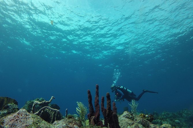 Guided Shore Diving Tour - Why the small group matters