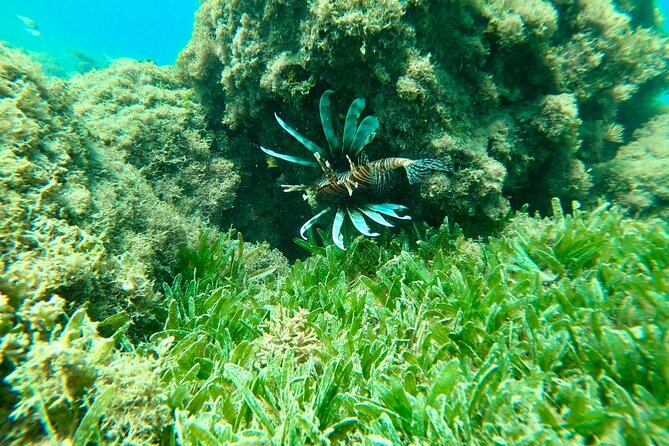 Guided Snorkeling adventure in San Juan - Why the small group matters
