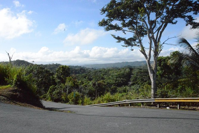 Half-Day Center of Puerto Rico Cultural Tour - Key points to know before booking