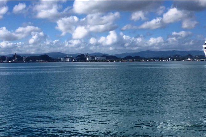 Half-Day Center of Puerto Rico Cultural Tour - Moving inland through Puerto Rico’s communities