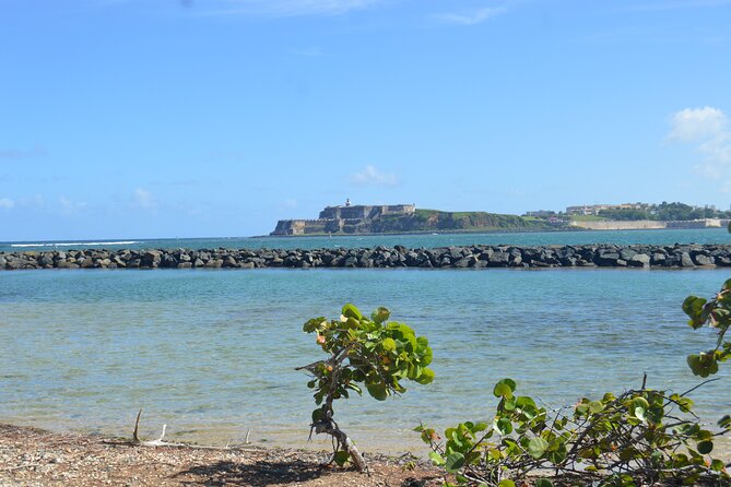 Half-Day Center of Puerto Rico Cultural Tour - The mountain climb and high viewpoints