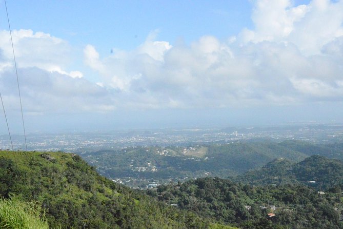 Half-Day Center of Puerto Rico Cultural Tour - Coffee, conversation, and the personal touch