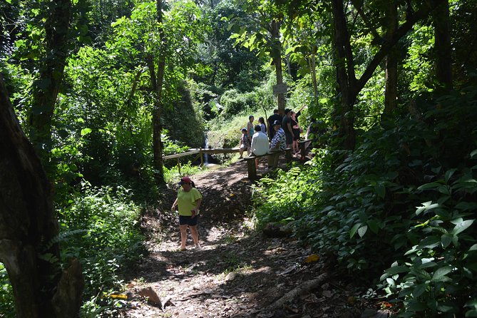 Half-Day Center of Puerto Rico Cultural Tour - What the $80 price really covers