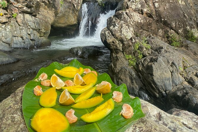 Half-Day El Yunque and Waterslides Adventure from Fajardo - Las Tinajas Falls and the natural water activities