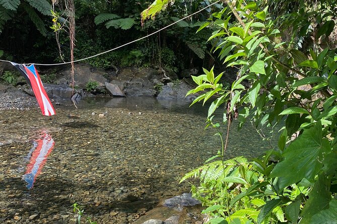 Half-Day El Yunque and Waterslides Adventure from Fajardo - Is $74.99 a fair price?