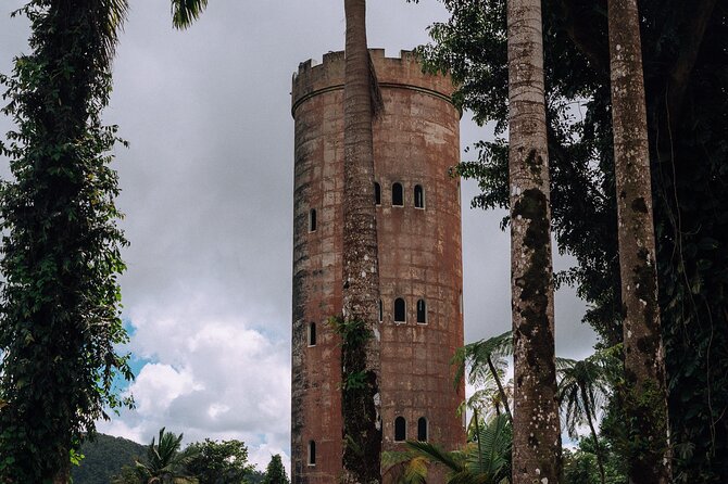 Half-Day El Yunque National Forest Tour from San Juan - Why El Yunque Makes a Good Half-Day Trip