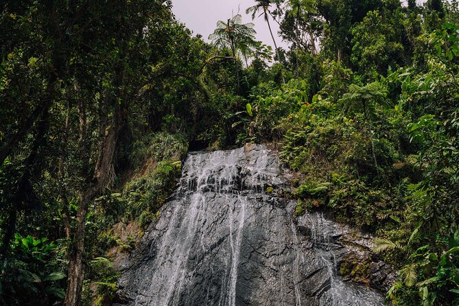 Half-Day El Yunque National Forest Tour from San Juan - What the Guide Adds to the Experience
