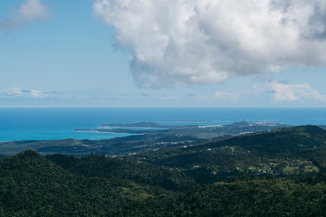 Half-Day El Yunque National Forest Tour from San Juan - Who Will Enjoy This Tour Most?