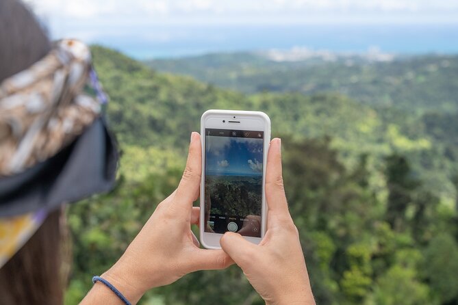 Half-Day El Yunque National Forest Tour from San Juan - The Drive From San Juan Into the Mountains