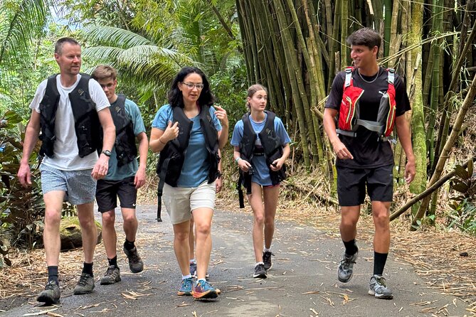Half Day El Yunque Tour, Waterslide and Rope Swing - What the $39 Price Really Covers