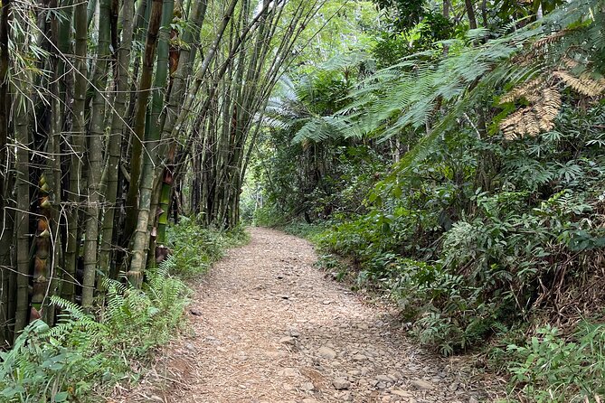 Half Day El Yunque Tour, Waterslide and Rope Swing - How to Prepare for the River