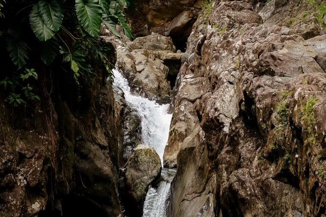 Half-Day El Yunque Waterslide Excursion （no Transportation) - The return walk and the real time commitment