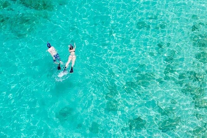 Half Day Icacos Island with Roundtrip Transport from San Juan - Key Points Before You Book