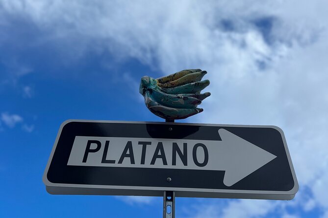 Half-Day: Old San Juan, Calle Cerra,Santurce, La Placita & Loíza - Loíza and Piñones: food with cultural context