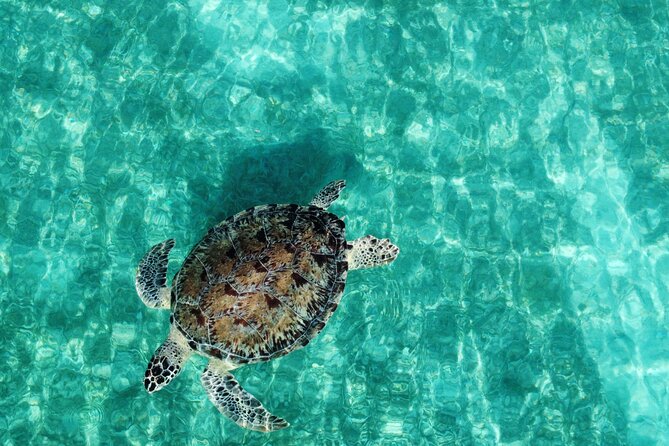 Half-Day Private Boat Experience – Appetizers & Drinks Included - Cruising the eastern Puerto Rico coast