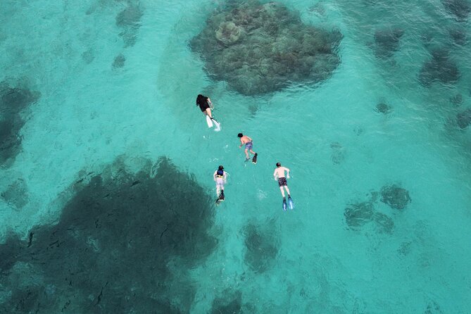 Half-Day Private Boat Experience – Appetizers & Drinks Included - Icacos, Palomino, or Piñero: what the island stop adds