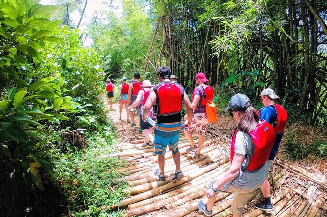 Half-Day: Rainforest and Waterslide Adventure with Transportation - Who Will Enjoy This Most