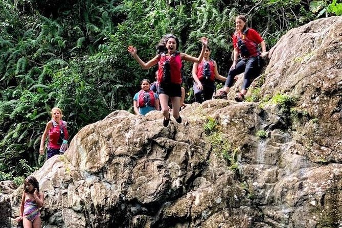 Half-Day: Rainforest and Waterslide Adventure with Transportation - Weather, Cancellations, and Planning