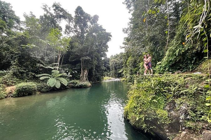 Half-Day Rainforest Tour with Transport from San Juan - San Juan pickup and the drive toward El Yunque