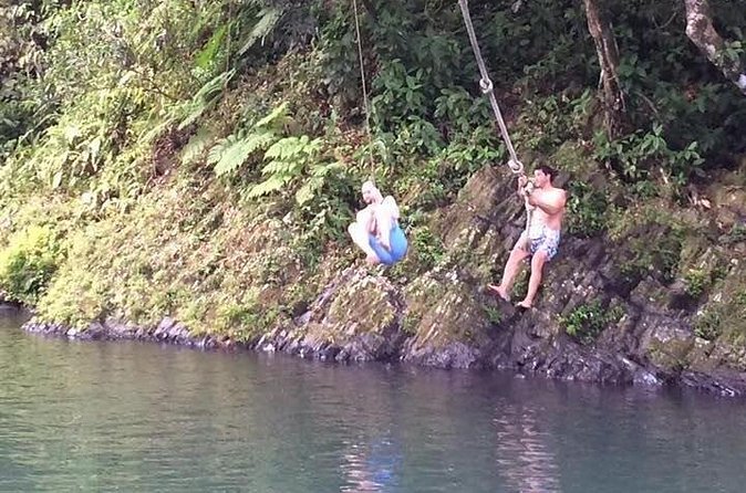 Half-Day Rainforest Tour with Transport from San Juan - A guided forest walk with plants, wildlife, and island history