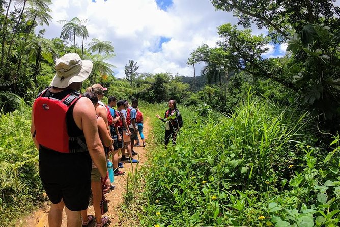 Half-Day Tour: El Yunque Rainforest and Waterslide Adventure - Key points before you book