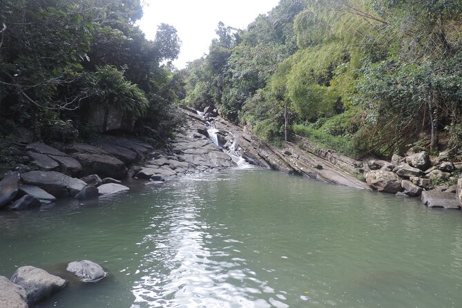 Half-Day Tour: El Yunque, Waterslides, and Luquillo Beach - Safety is the tour’s most important feature