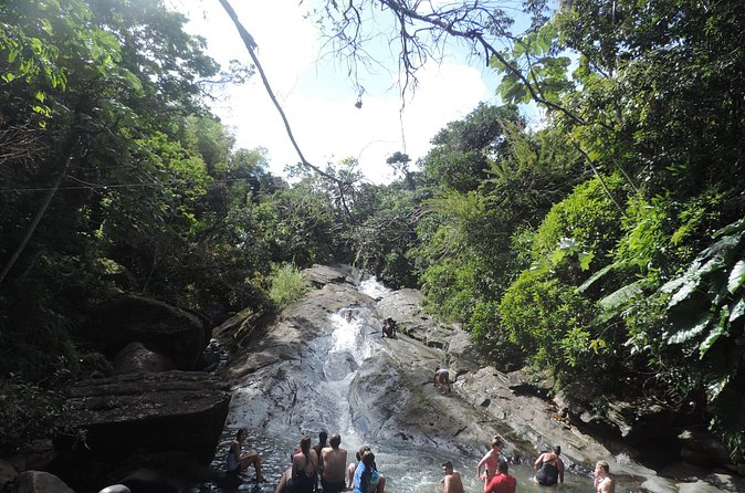 Half-Day Tour: El Yunque, Waterslides, and Luquillo Beach - What the guide adds to the day