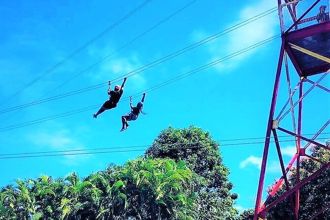 Half Day Tour in Rainforest Zipline Park with Transportation - Quick Takeaways From the Experience