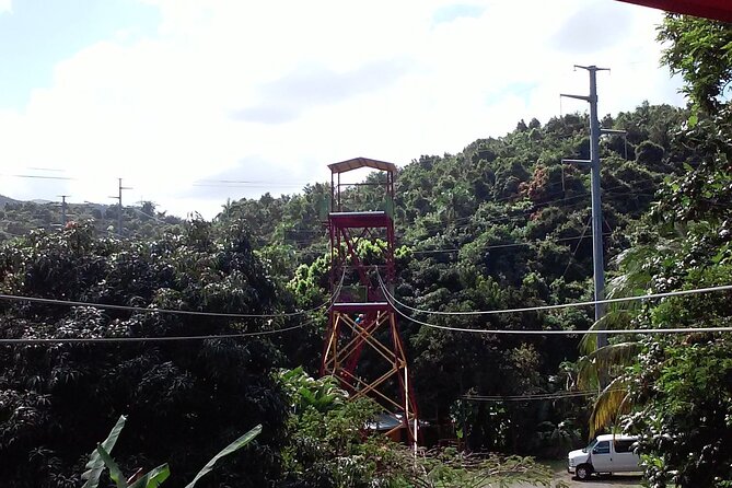 Half Day Tour in Rainforest Zipline Park with Transportation - How Much Is $149 Worth?