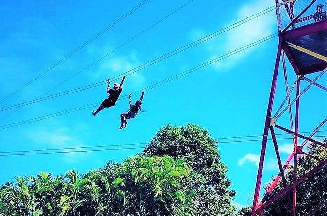Half Day Tour in Rainforest Zipline Park with Transportation - A Note on Service and Reliability