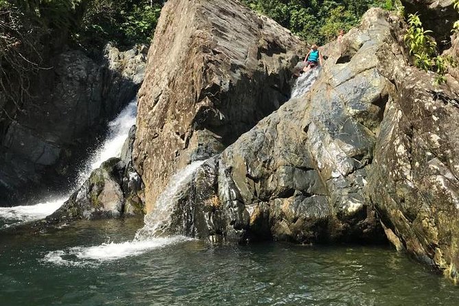 Half-Day Yunque Rainforest Waterslide & rope swing Guided Tour - Key points before you book