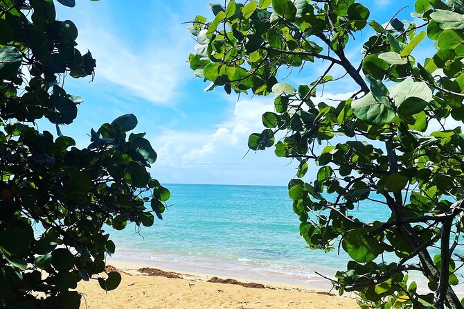 Hidden Fresh Spring of Water+ Cave+ Beach & Food Full Day Tour - From Ashford Avenue to Puerto Rico’s quieter side
