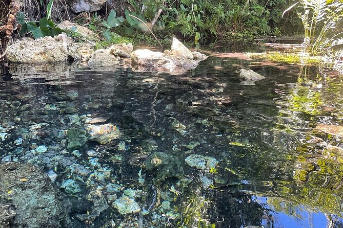 Hidden Fresh Spring of Water+ Cave+ Beach & Food Full Day Tour - Coconut water, fish, and a slower beach hour