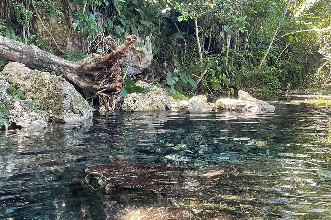 Hidden Fresh Spring of Water+ Cave+ Beach & Food Full Day Tour - The cave question needs a clear answer