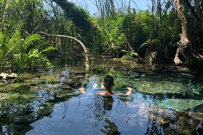 Hidden Gems of the North, Puerto Rico Private Tour - Key points to know before booking