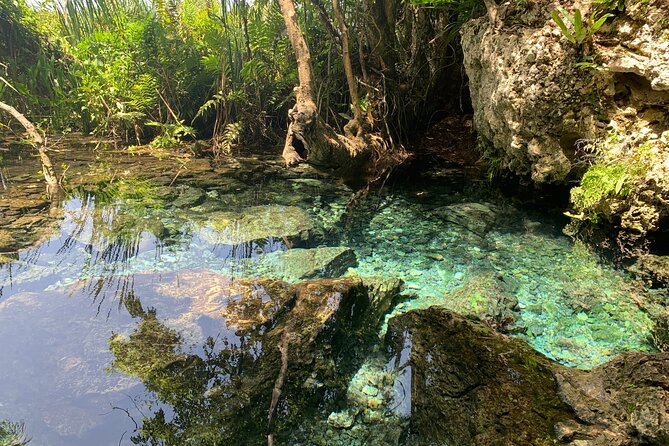 Hidden Gems of the North, Puerto Rico Private Tour - A clear spring and time for a swim