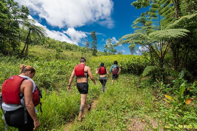 Hike El Yunque Rainforest and Kayak Bio Bay Combo Tour - Quick take: what makes this day special