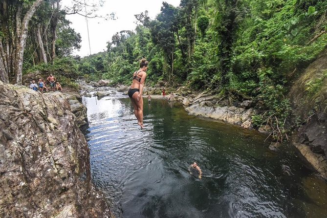 Hike El Yunque Rainforest and Kayak Bio Bay Combo Tour - Why the $172 price can make sense