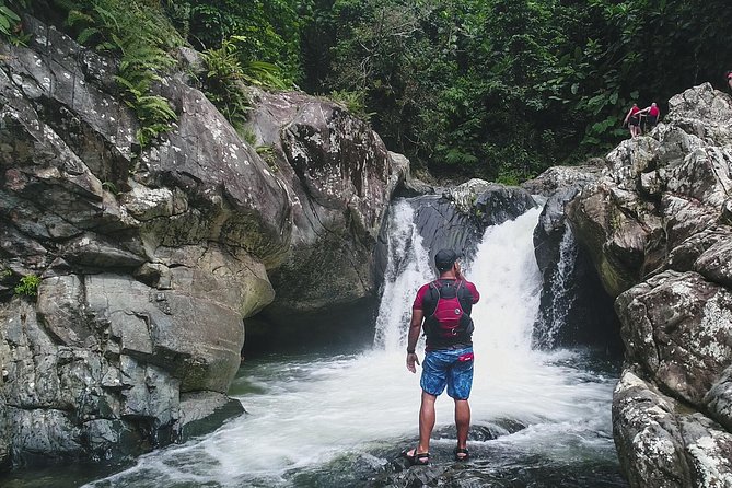 Hike El Yunque Rainforest and Kayak Bio Bay Combo Tour - Swimming, sliding, and the rope swing