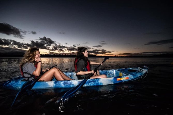 Hike El Yunque Rainforest and Kayak Bio Bay Combo Tour - What the guides add to the day