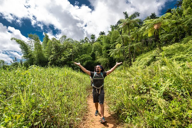 Hike El Yunque Rainforest and Kayak Bio Bay Combo Tour - Safety rules you should take seriously
