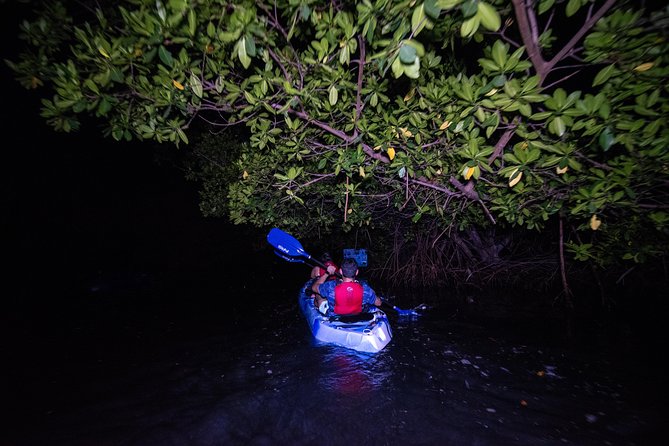 Hike El Yunque Rainforest and Kayak Bio Bay Combo Tour - Entering El Yunque by river and rock