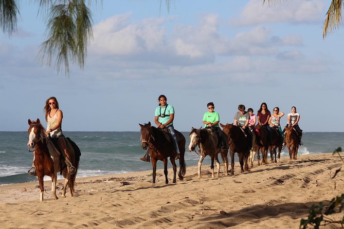 Horseback Riding through Secluded Beaches and Tropical Forests - Five details that shape the ride