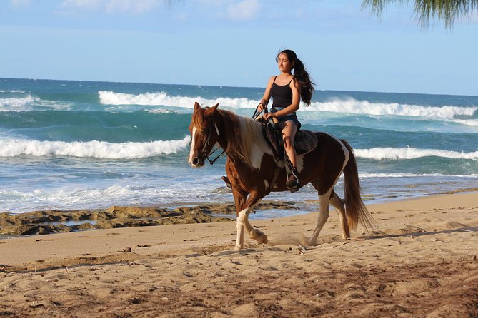 Horseback Riding through Secluded Beaches and Tropical Forests - From the riding center to Shacks Beach