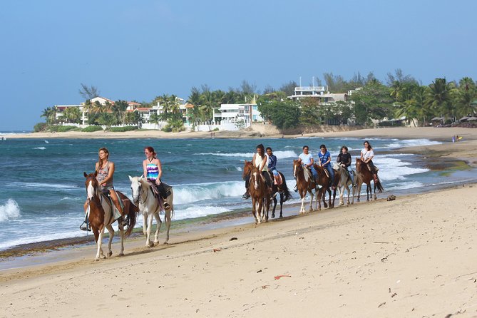 Horseback Riding through Secluded Beaches and Tropical Forests - Choosing between the 9 a.m. and 3:30 p.m. rides