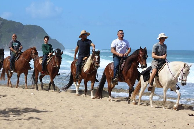 Horseback Riding through Secluded Beaches and Tropical Forests - What the guides do well, and where the ride varies