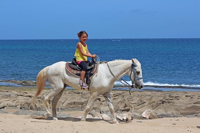 Horseback Riding through Secluded Beaches and Tropical Forests - Is $106.95 a fair price?